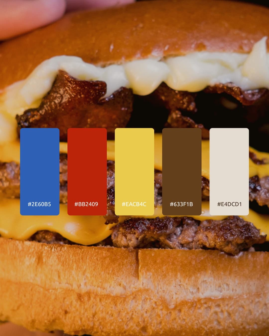 Close-up of a double cheeseburger with the brand's colour swatches