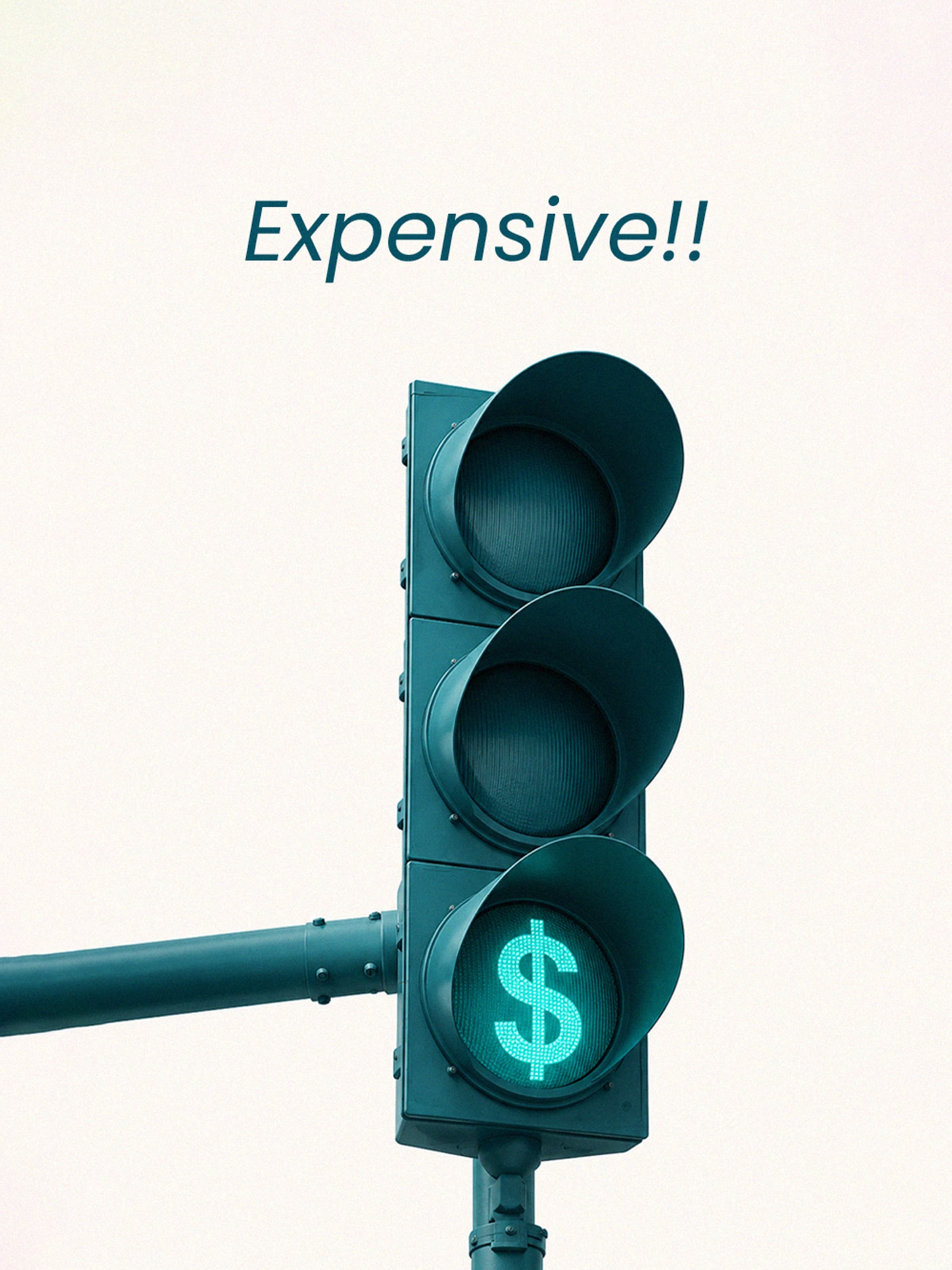 Expensive!! — a traffic light showing a dollar sign
